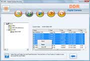 Digital camera data recovery software screenshot